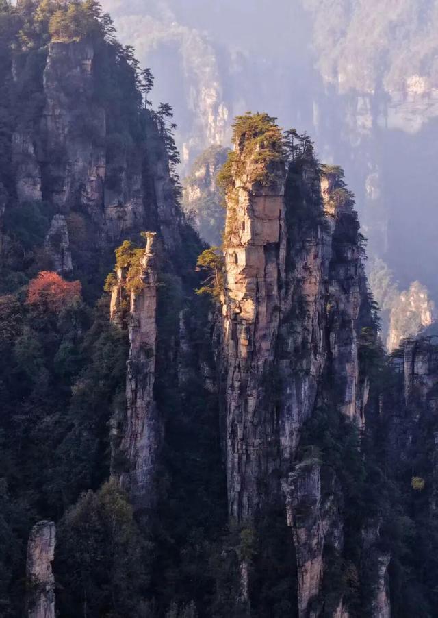 摄影故事 | 霞染秋峰入镜来——世界自然遗产武陵源巡礼手记