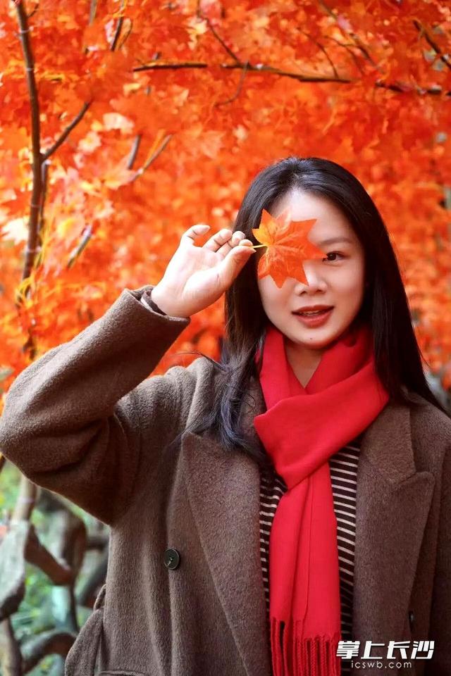 红枫长廊银杏隧道已搭好，石燕湖“拍照打卡天花板”等你来