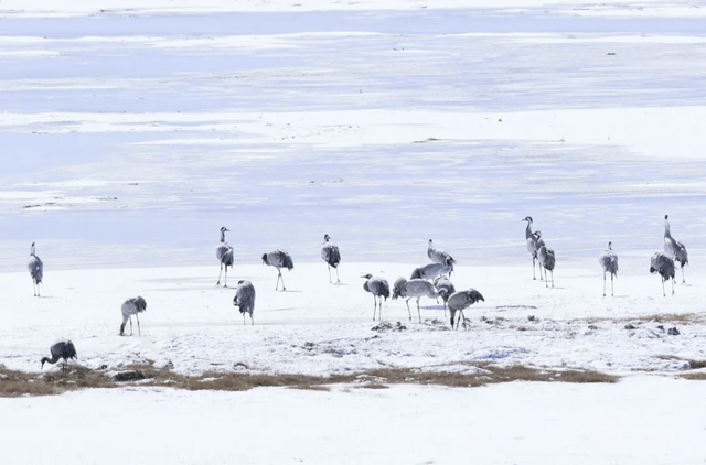雪后的甘孜，走一路美一路！