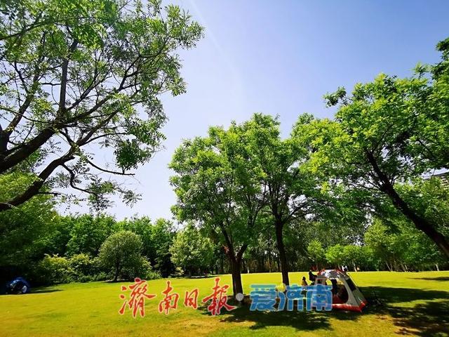 公园漫步邂逅秋日浪漫
