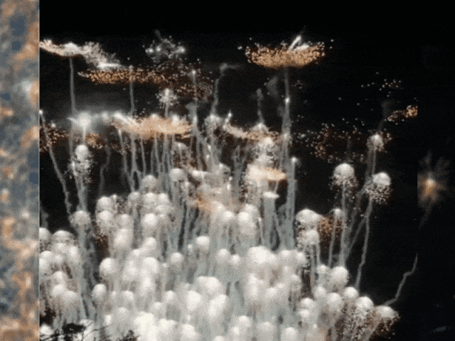 悦遵义·享暖冬 | 播州区跨年文旅活动指南正式上线，带你轻松“拿捏”2026！