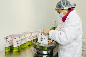 河北涞水：打造桑葚产业链 农旅融合促发展图片