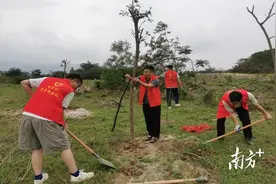 厚植“绿色家底” 做实“管护文章”｜英德构建乡村绿化长效管护机制图片