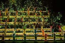 生日快乐！15岁的《印象大红袍》，熠熠生辉图片