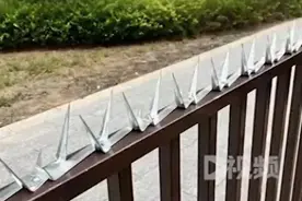 小区护栏出现密密麻麻刀片阵？业主：不小心栽上面就惨了图片
