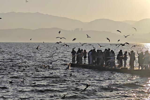看日出、追红嘴鸥、拍婚纱……总要去一次大理龙龛码头吧！