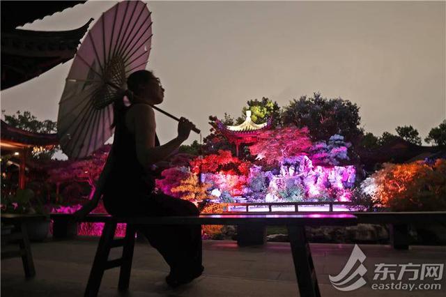上海世博文化公园“璀璨之夜”重磅上线，把自然、艺术、科技、市集揉进八月的夏夜里