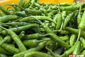 辣椒中的“爱马仕”抢“鲜”上市 亿元村里的大产业享誉全国图片