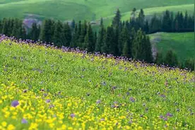 G219串联32处自然保护区图片