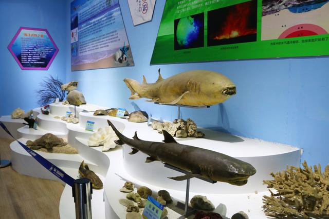 春节遛娃好去处 石林冰雪海洋世界推出2月限定梦幻灯展夜场