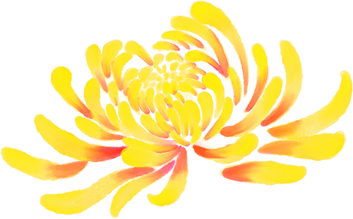 已开，免费！10万盆菊花、超多精彩活动等你来