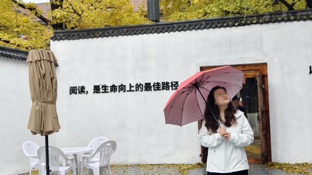 丹东百年银杏大道静候八方来客