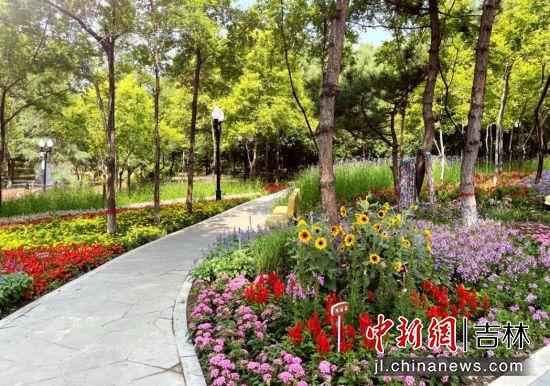 长春市新民大街隔壁有座“宝藏公园”