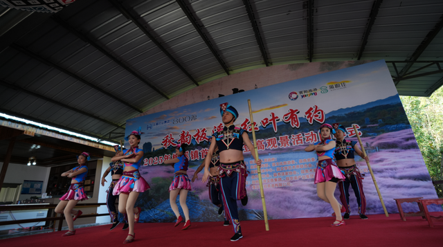 首届板溪红叶观赏活动收官！