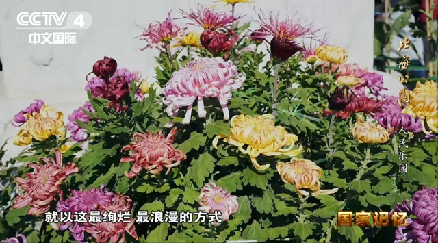 北海公园：传承中华文明，滋润万千心灵