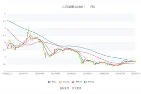 山东华鹏：2024年上半年亏损6496.02万元图片