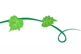 “萄”醉一夏！让练塘地产葡萄，“葡”进你心里~图片