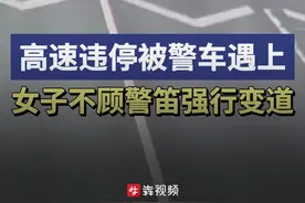 女子高速违停遇警车，无视警笛强行变道图片