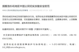 中领馆提醒洛杉矶地区中国公民切实加强安全防范图片