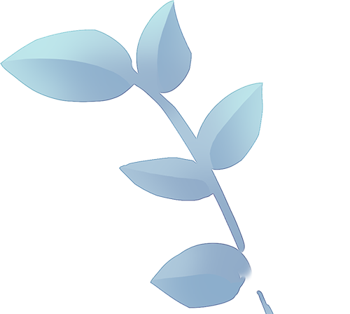 飞雪沐泉 乐享白山 | 雪假来白山，“惠上加惠”！！！