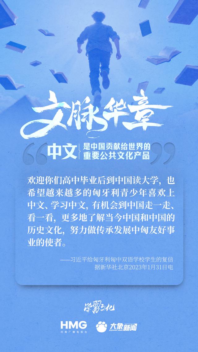 文脉华章|中文是中国贡献给世界的重要公共文化产品