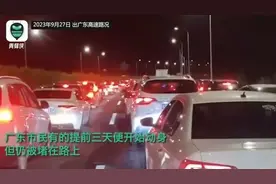 人从众！“坐高铁动车像挤地铁”，重庆洪崖洞已挤满游客！有人凌晨出行，开8小时还没出广东…图片