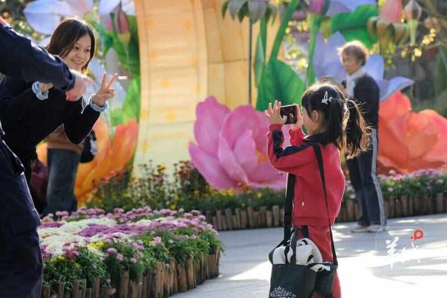 广州文化公园第66届“羊城菊会”周末迎最佳观赏期，将延展至12月上旬