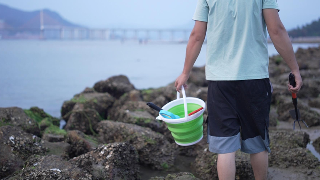 我要去惠州看海了
