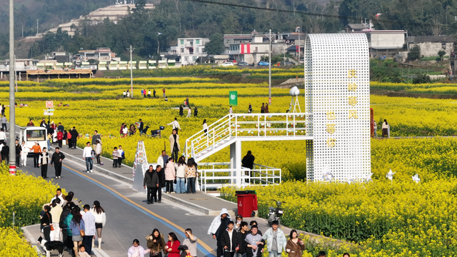 四川宜宾高县万亩油菜花海美如画 乡情烟火抚人心