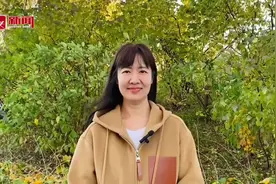 龙江人·暖心事｜朱华：“大庆格桑花妈妈”用爱浇灌团结花图片