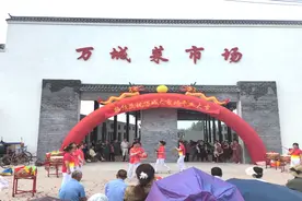 【我为群众办实事】荆州区李埠镇万城村菜市场升级亮相图片