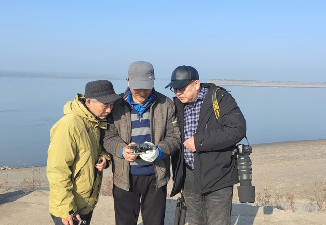 候鸟栖息铁锚洲 十年禁渔成美景