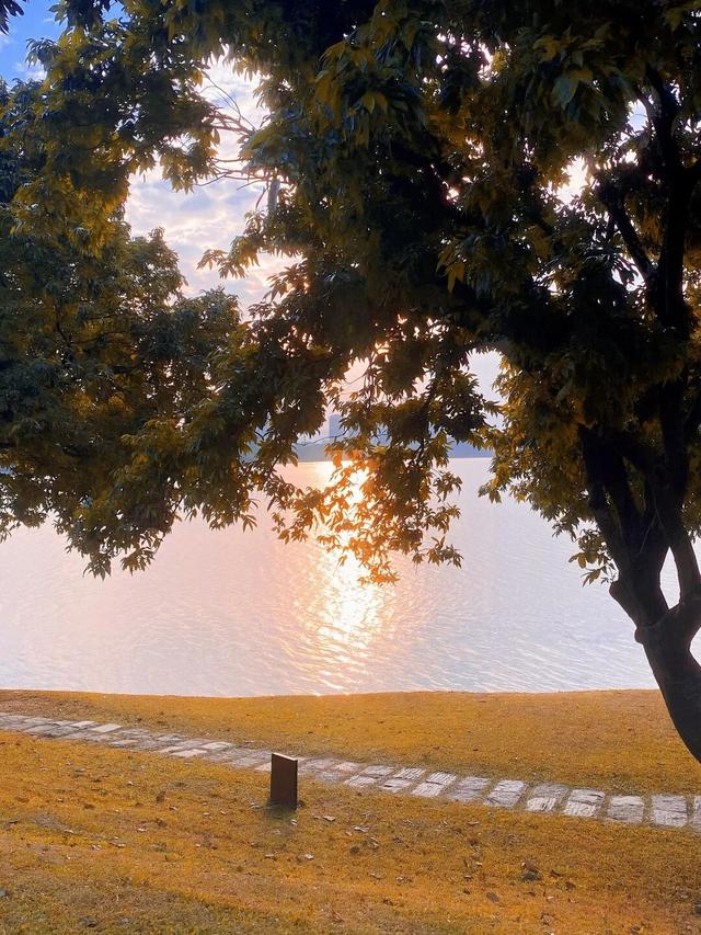 最美松湖 | 烦恼No，捡秋Go！来这里一键切换治愈模式