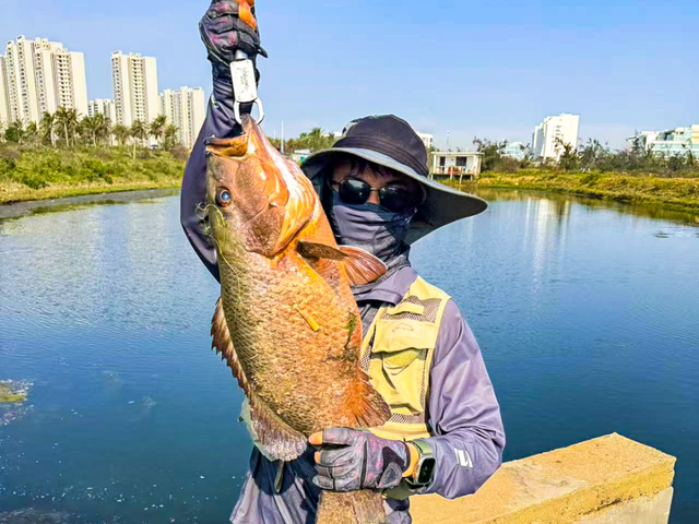新埠岛就要这么玩！龙舟赛+N种“浪”法，快乐持续加码