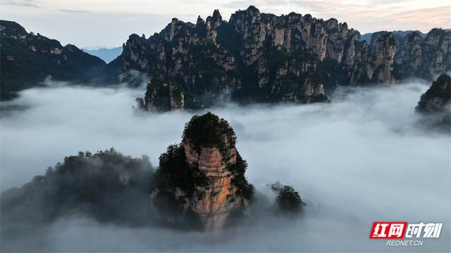 张家界鹞子寨景区：金秋日出云海同框 绘就多彩山水画卷