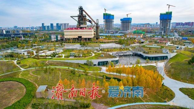 一年四季 泉在济南丨济钢片区中央森林公园初冬如画