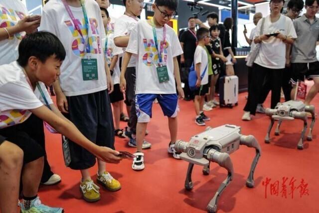 不止于 “机器”：2025世界机器人大会开幕