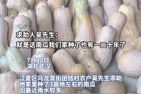 极目帮办|武汉江夏瓜农1万多斤南瓜滞销，期盼热心企业和市民伸出援手图片