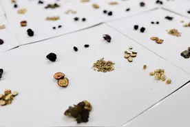 考虑湖南人的体质特点，长沙这家医院推出无糖“乌梅甘露饮”图片