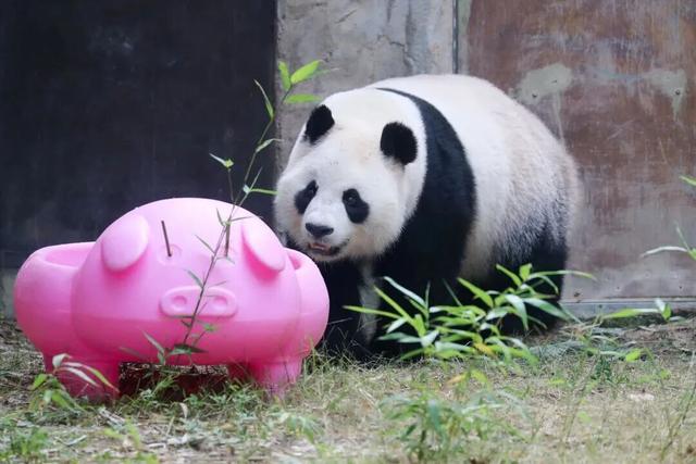 上新啦！魔都这些地方又有新玩法