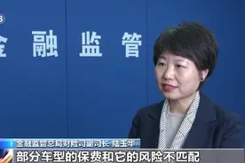 新能源汽车保费高、投保难？多项措施将于年内落地生效图片