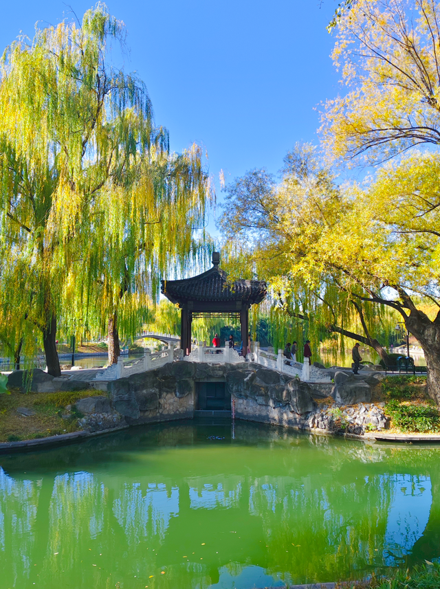 太美了！漫步南长河，邂逅满途风光