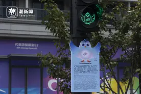 杭州亚残运村红绿灯换成了“飞飞”图片