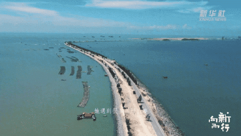 新华社携手董宇辉，走进广西的蔚蓝海岸……