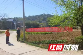 张家界市慈利县杉木桥镇：坚守防火关键期，筑牢森林防火线图片