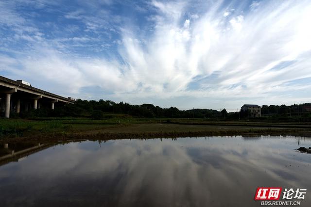 高清湖南丨岳阳云溪乡村游记：当钢筋铁骨遇上柔软稻浪