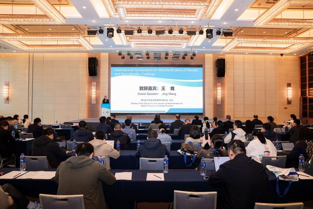 金属与非金属覆盖层国际标准化研讨会在湖北武汉召开