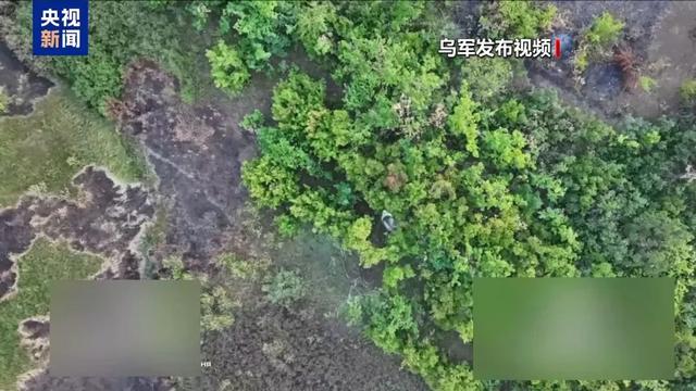 普京特朗普会晤在即，美方宣布：允许俄方在现行制裁下与会，期间相关交易可获得豁免！消息人士：“特普会”不谈领土划分；泽连斯基发声