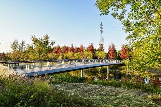 本周末迎赏红高峰，副中心金秋美景邀您共赴“京秋”之约