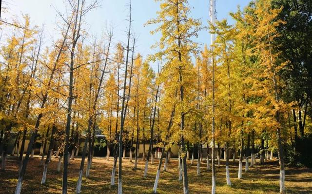 人人人人人！今天常州热度爆了